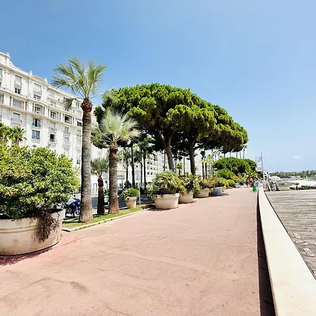 Le Belmondo - Croisette - Palais Miramar 公寓 戛纳